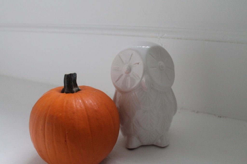 #owl from west elm