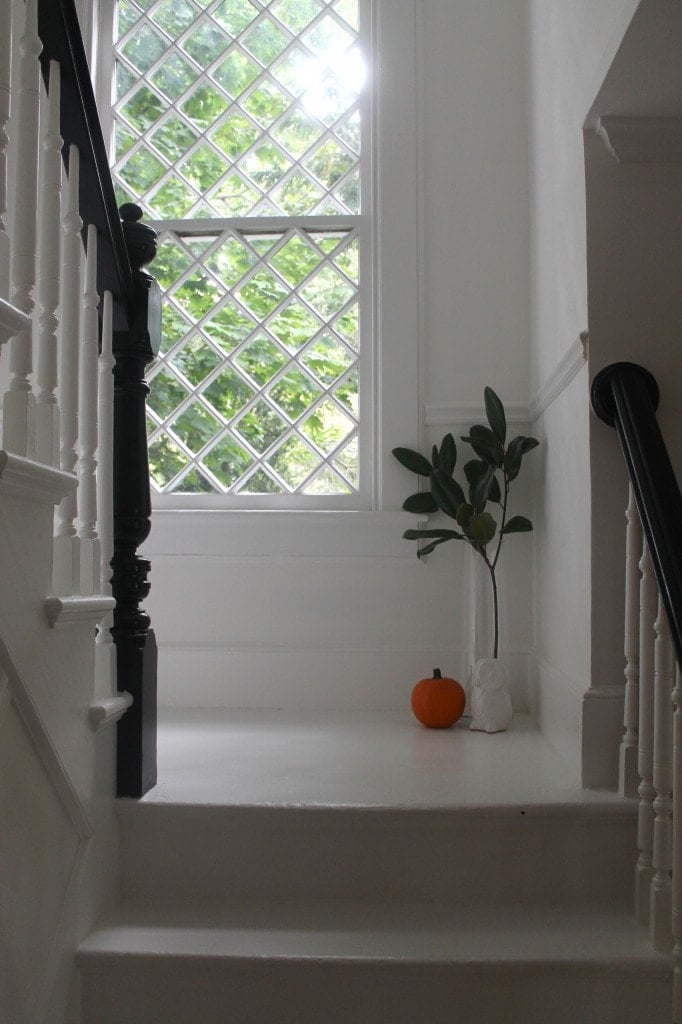 Halloween, #owl from west elm Halloween, #owl from West Elm