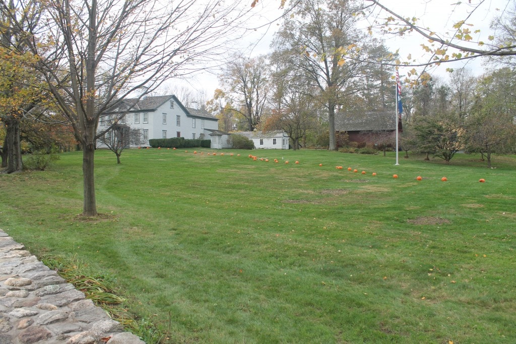pumpkins at the New Canaan Historical Society