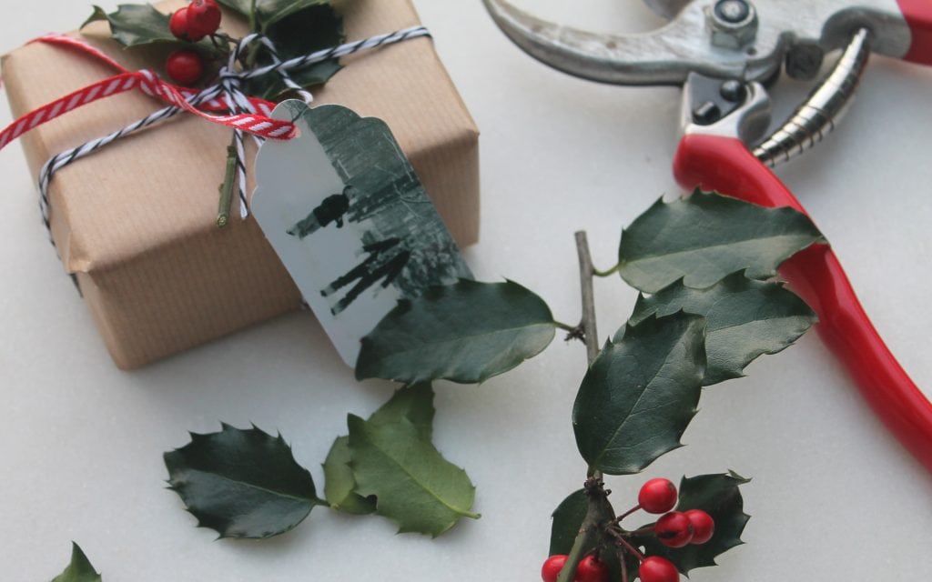 fresh holly, bakers twin, tags made from photos fresh holly, bakers twin, tags made from photos