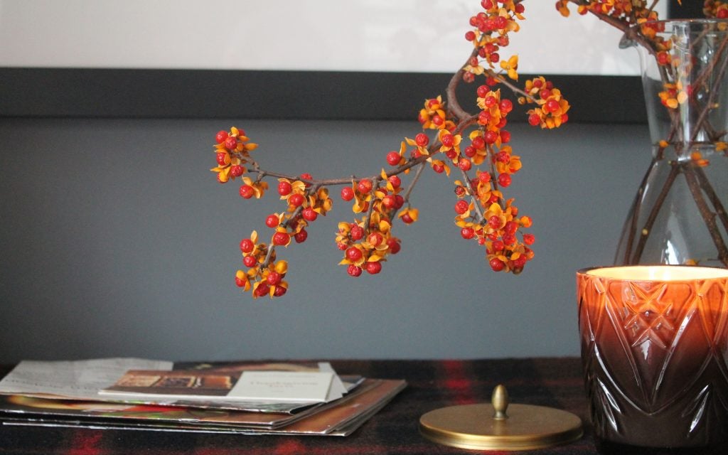 berries from Waveny Park, New Canaan, CT and woodfire candle by Illume