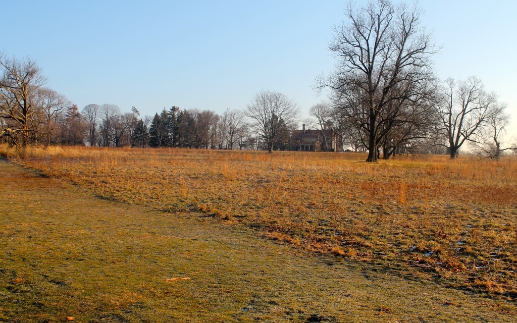 Waveny in Winter, New Canaan, CT