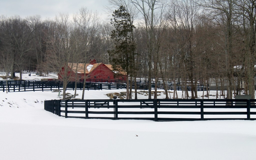 Bedford_NY