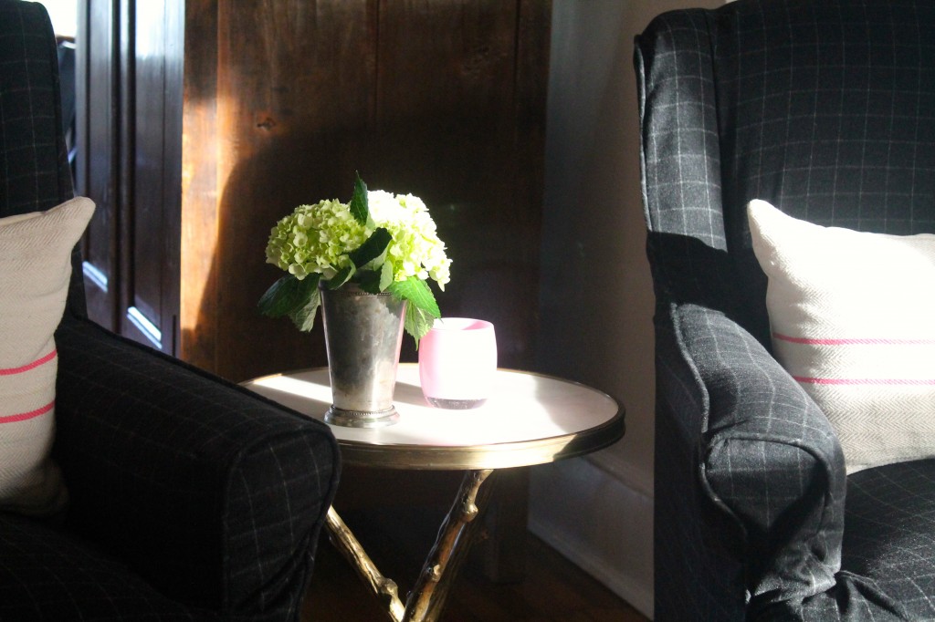 the afternoon light