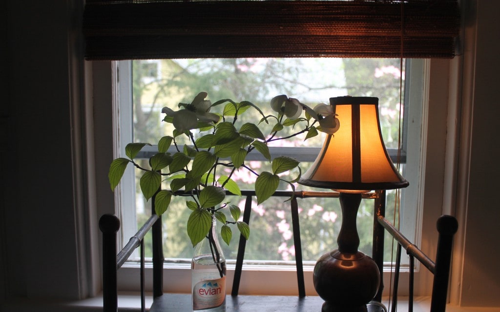 gBring a little Spring indoors #jamieyounglamps