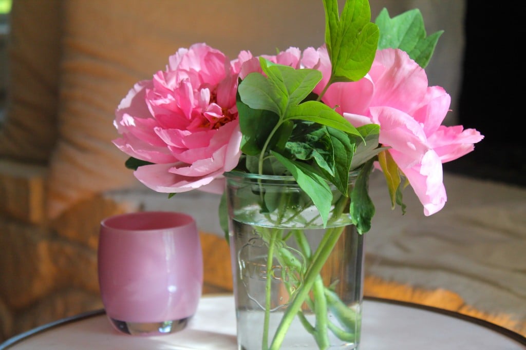 pink peonies
