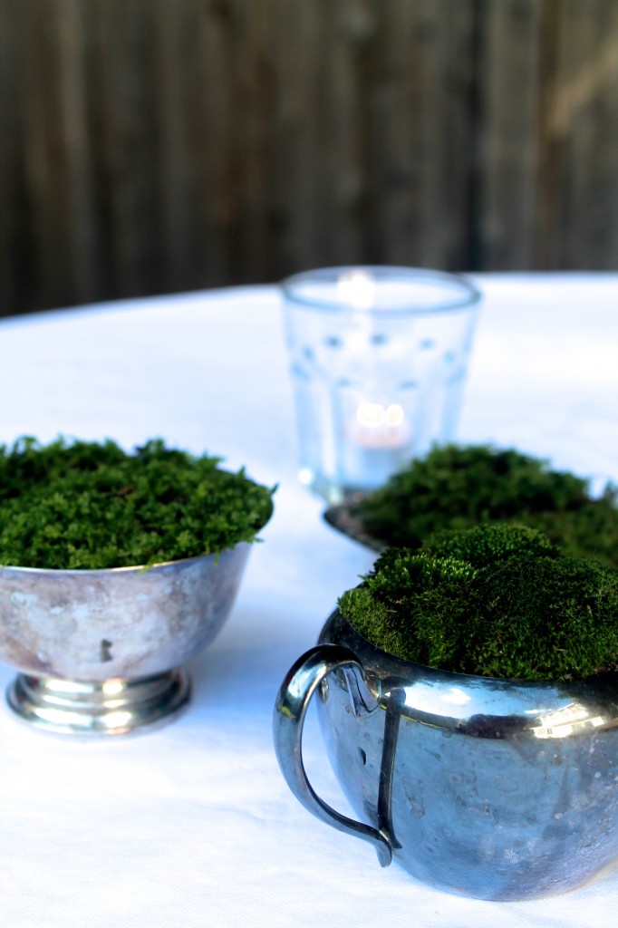 moss pots