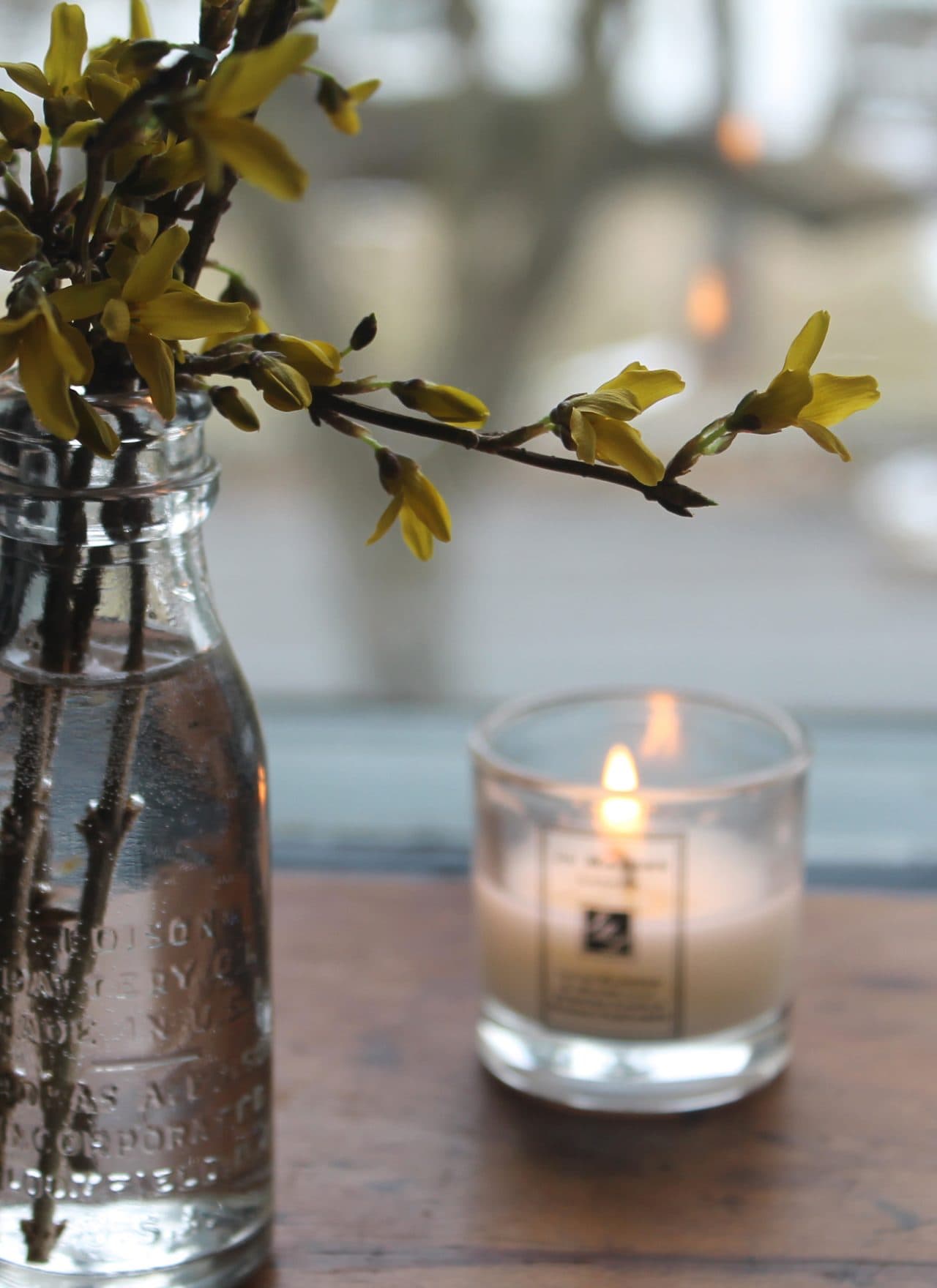 Forsythia and Jo Malone