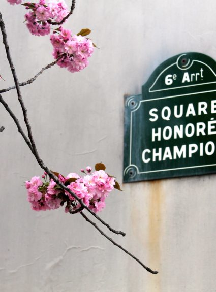 paris in the spring + pink