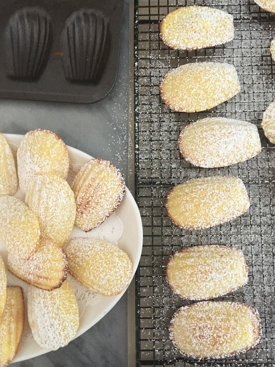 madeleines on cooling rack dusted with confectioners sugar