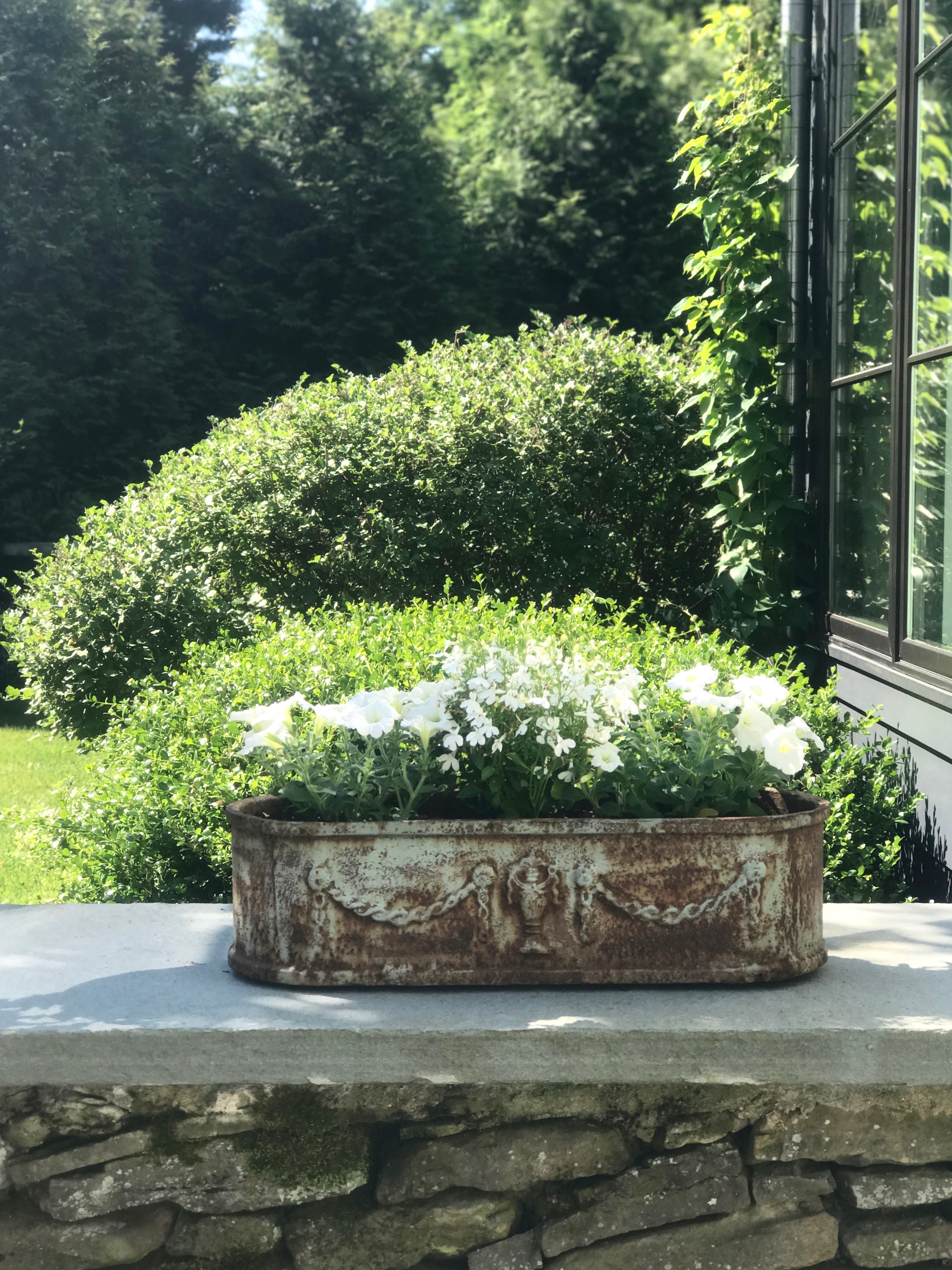 all white flowers in vintage stone planter