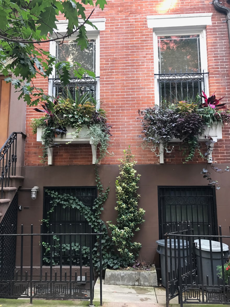 summer-window-boxes-west-village-new-york-city-red-brick