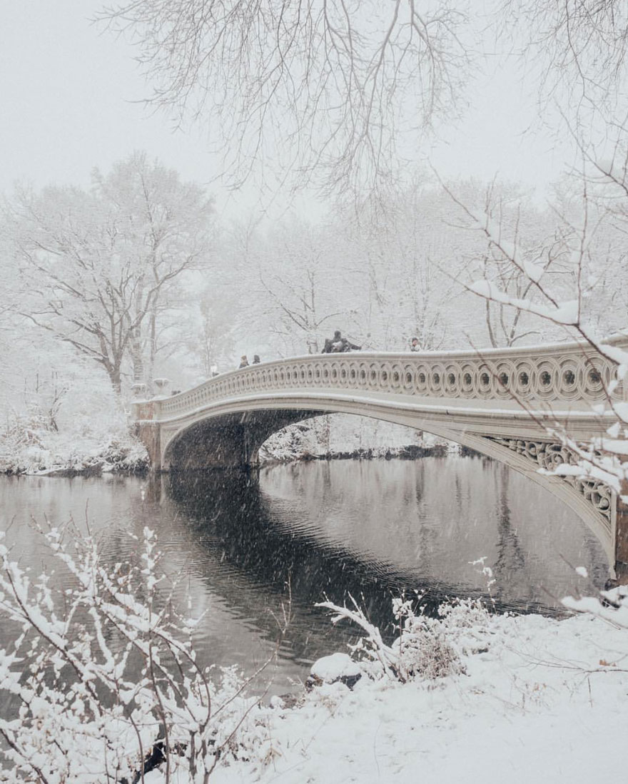 Central Park in the Snow