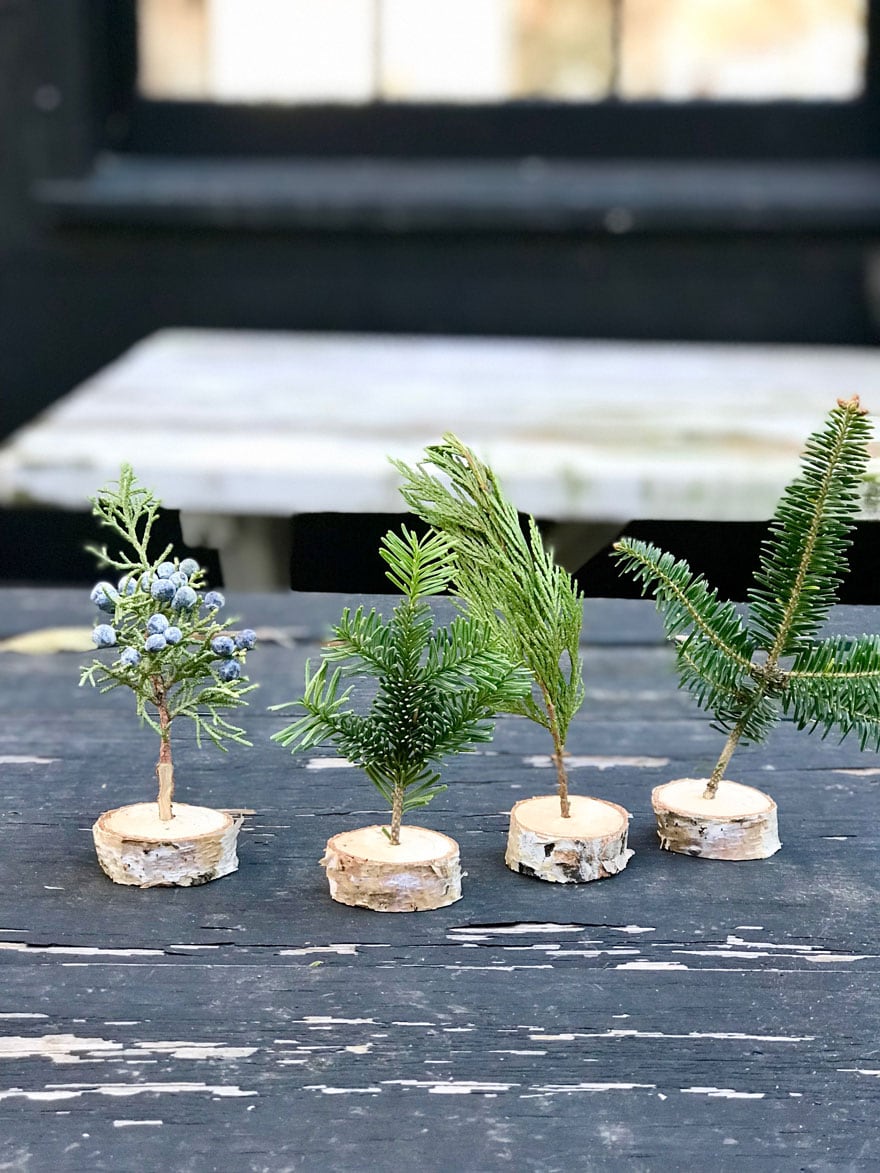 A tiny forest of trees in mini birch branch holders