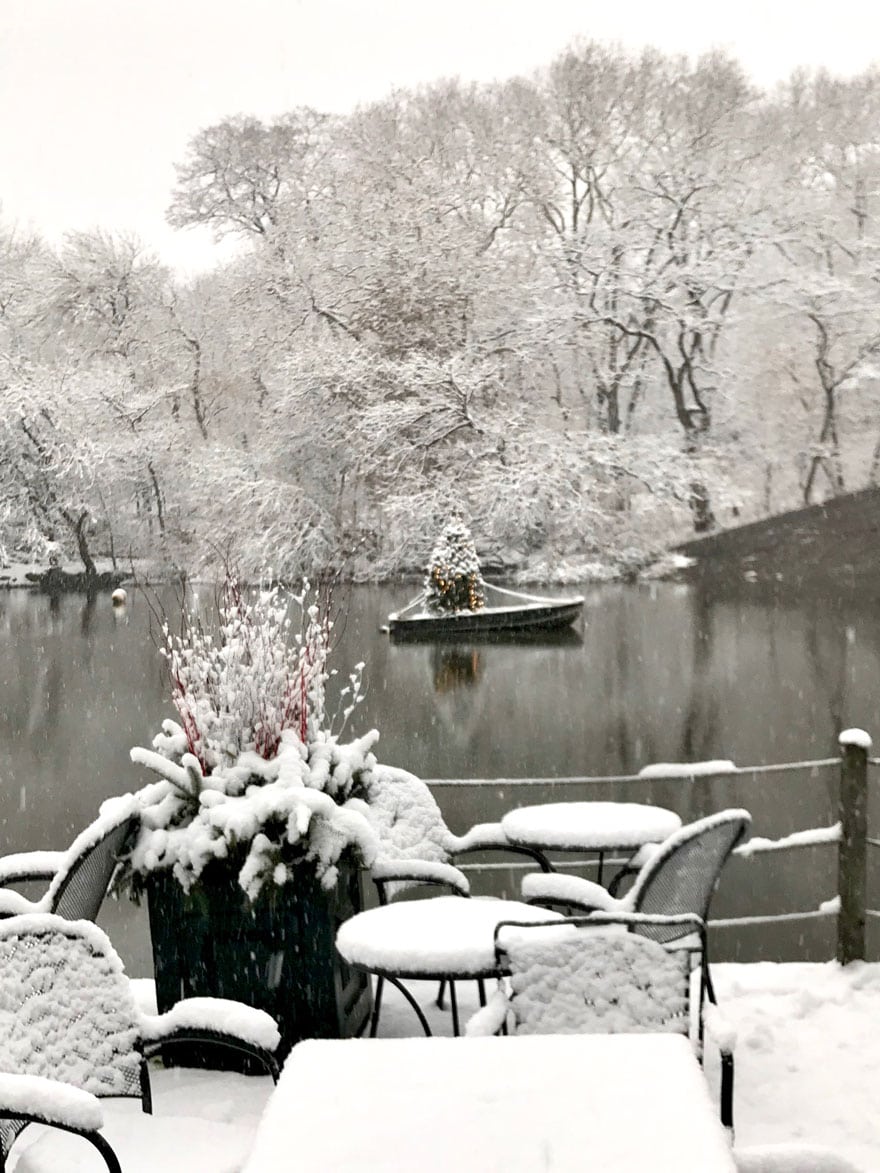 A lit Christmas tree in a boat at the Loeb Boathouse in Central Park