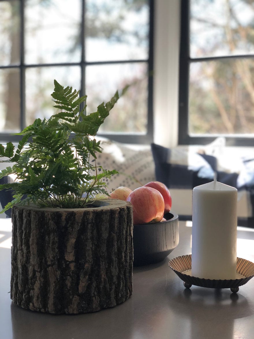 table top plant, candle, apples