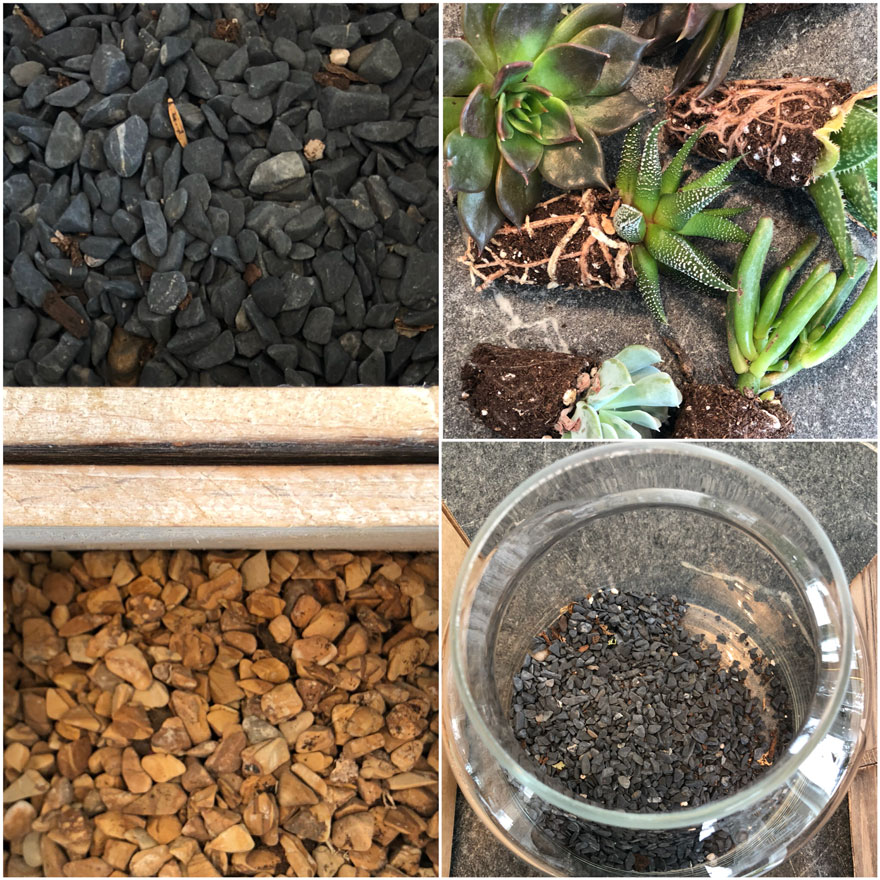 small rocks, succulents, glass jar