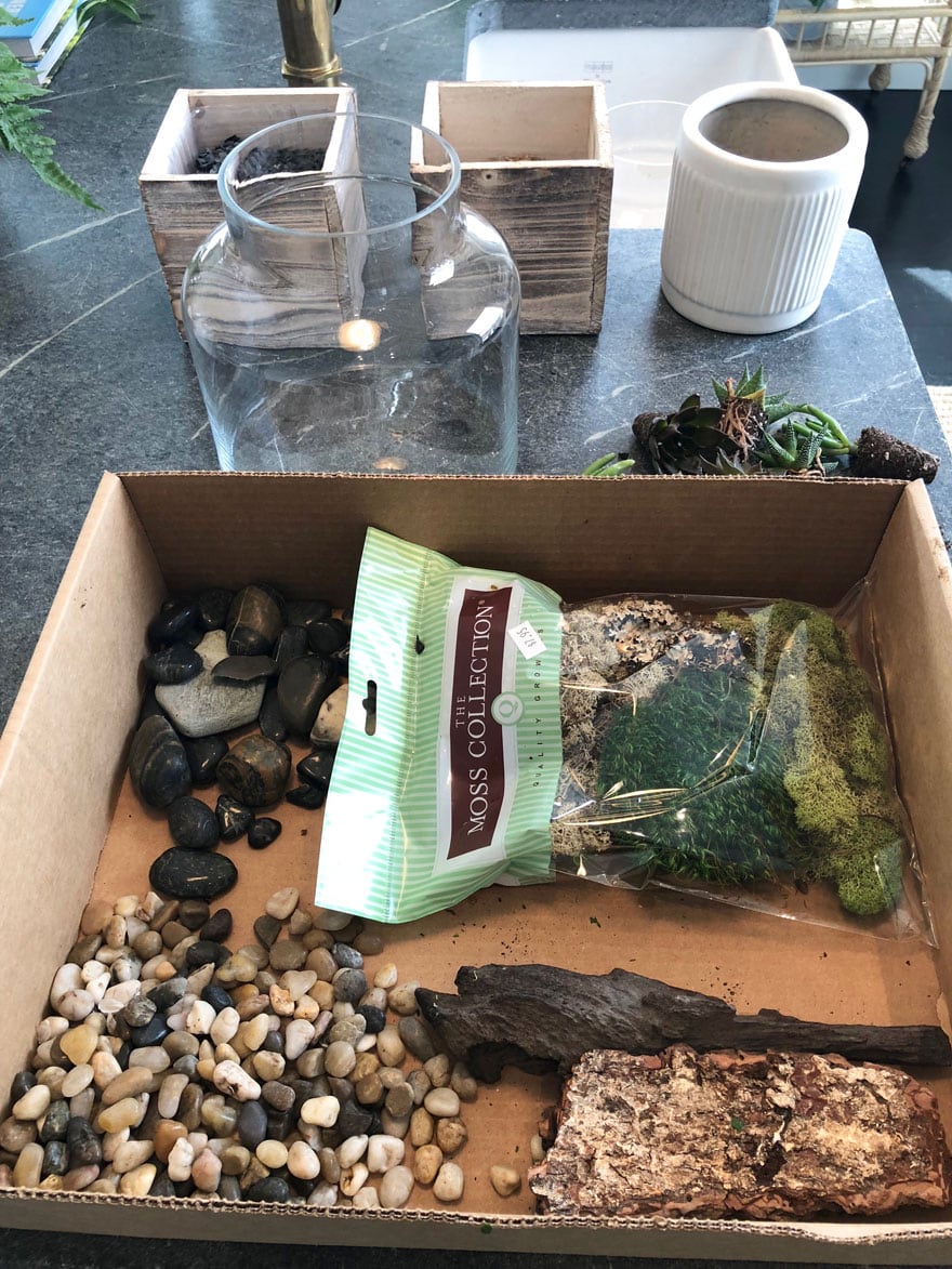 bag of moss, stones, plants