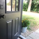 black door with planter