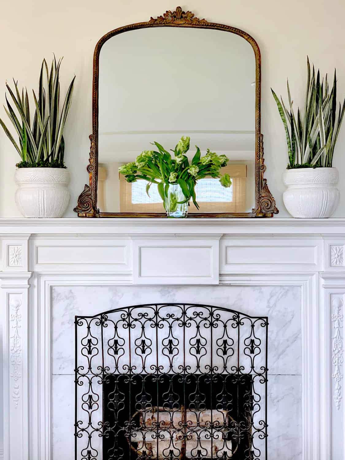 fireplace with mirror flowers and plants
