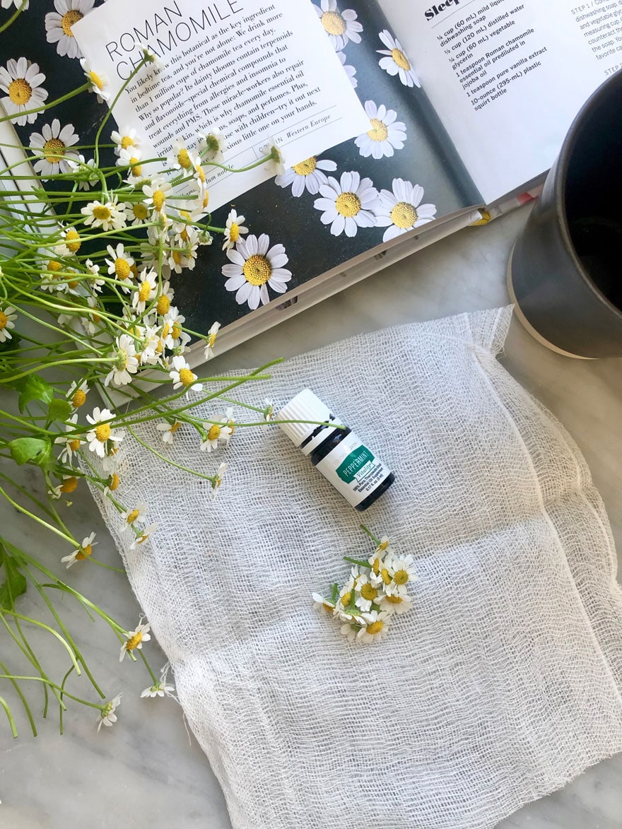 chamomile flowers on cheesecloth, essential oil bottle, book page, black mug