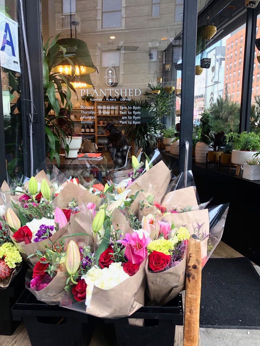 fresh flowers, plant shop, lighting, window