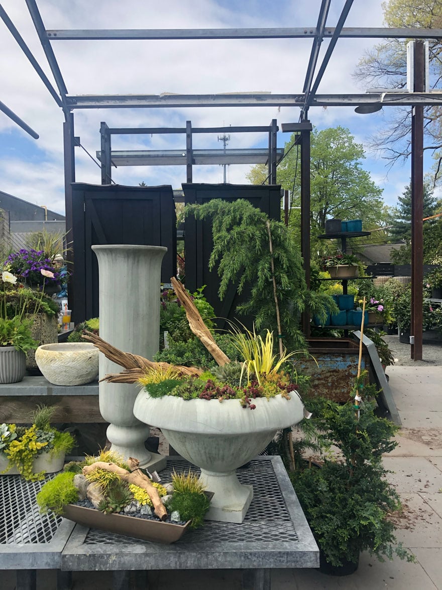 succulents, planters, black fence