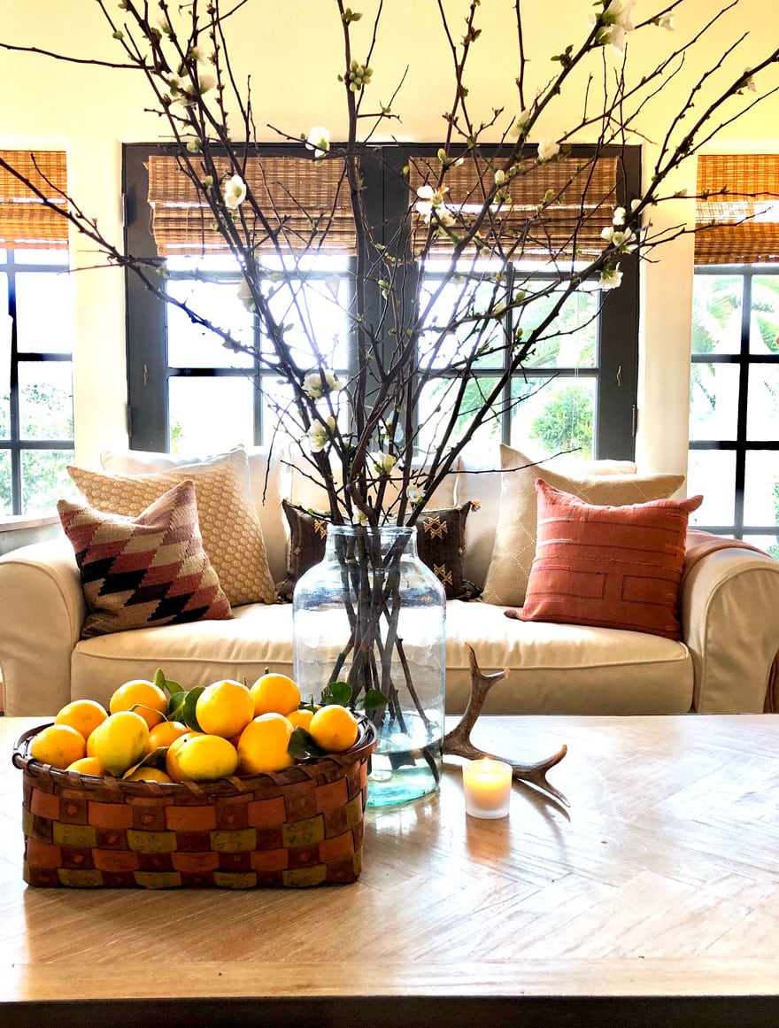 lemons, branches, sofa, pillows