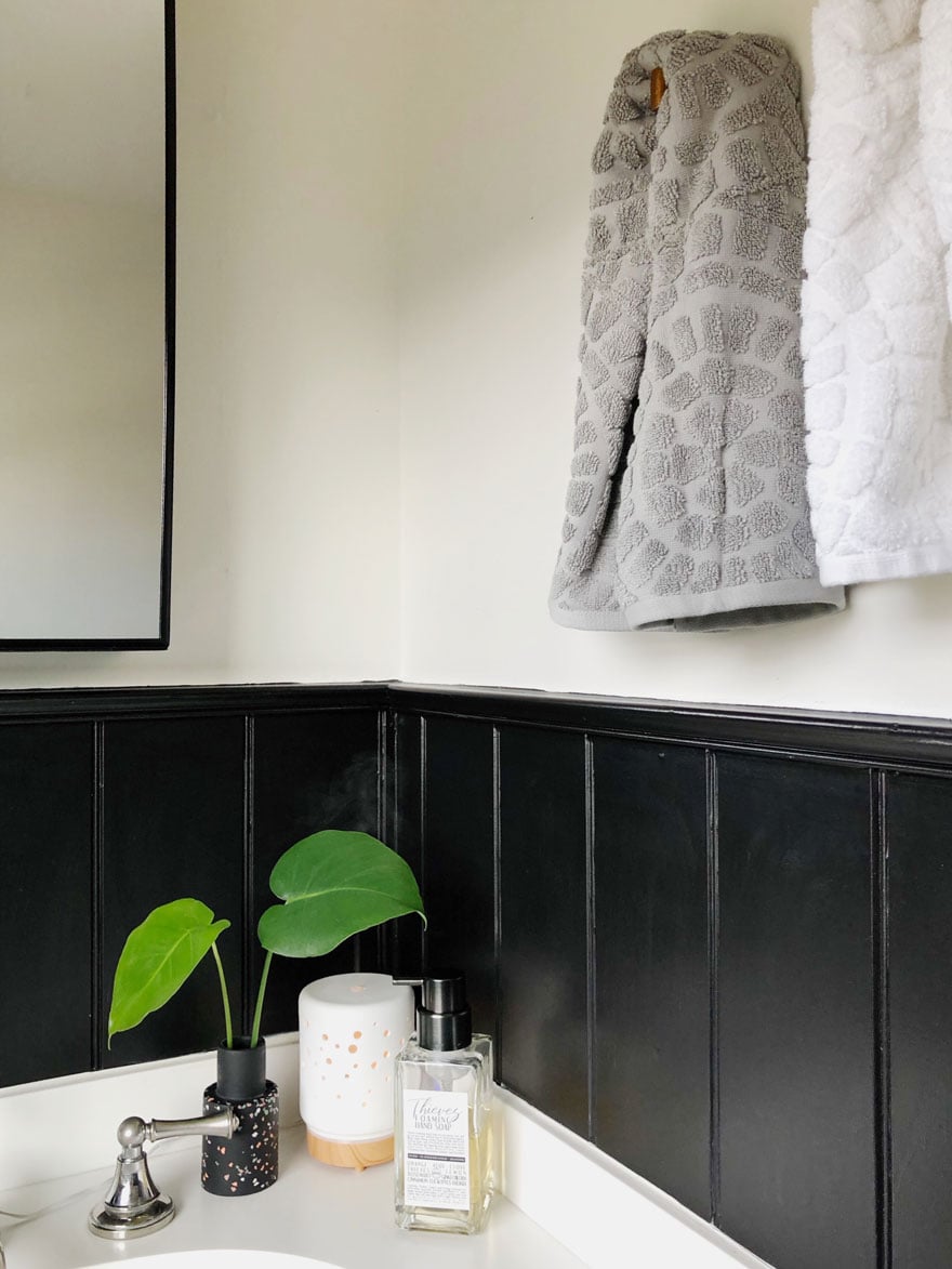 diffuser, leaves in small black vase, soap on bathroom counter with black walls