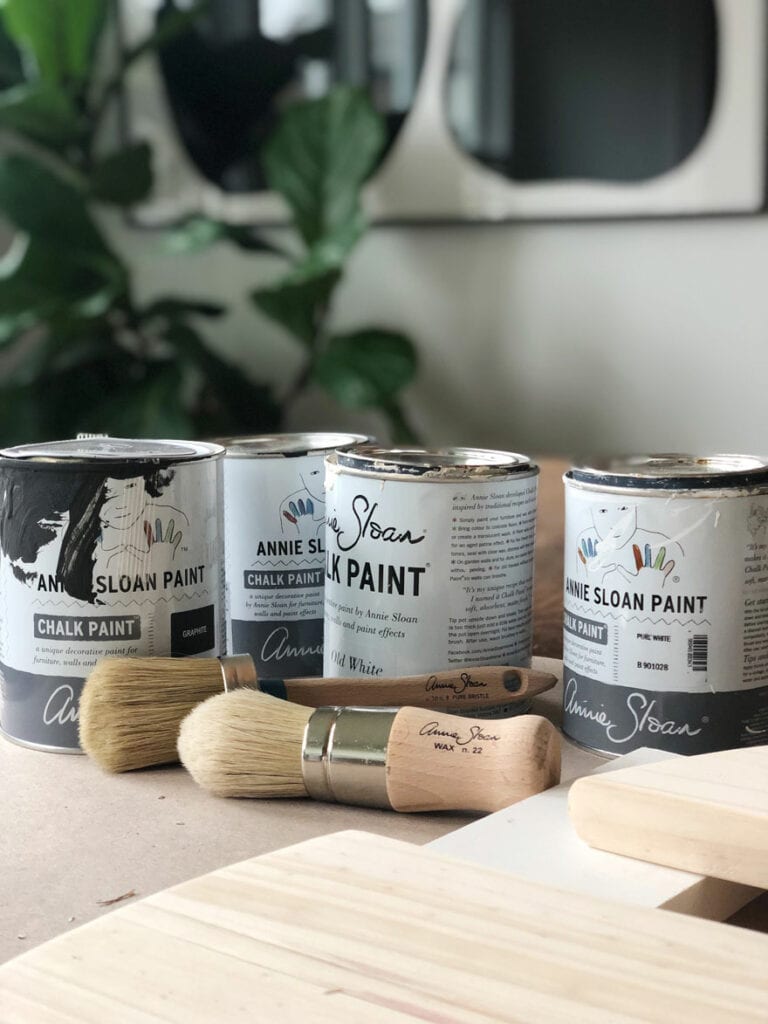 paint cans and brushes on tablle with plant