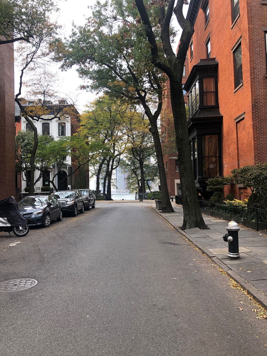 street buildings, fire hydrant