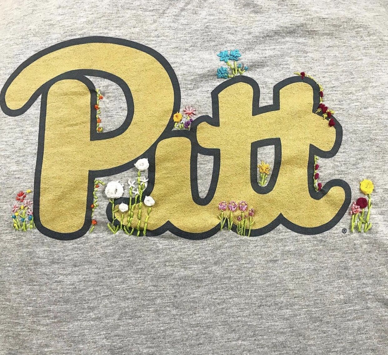 Pitt sweatshirt