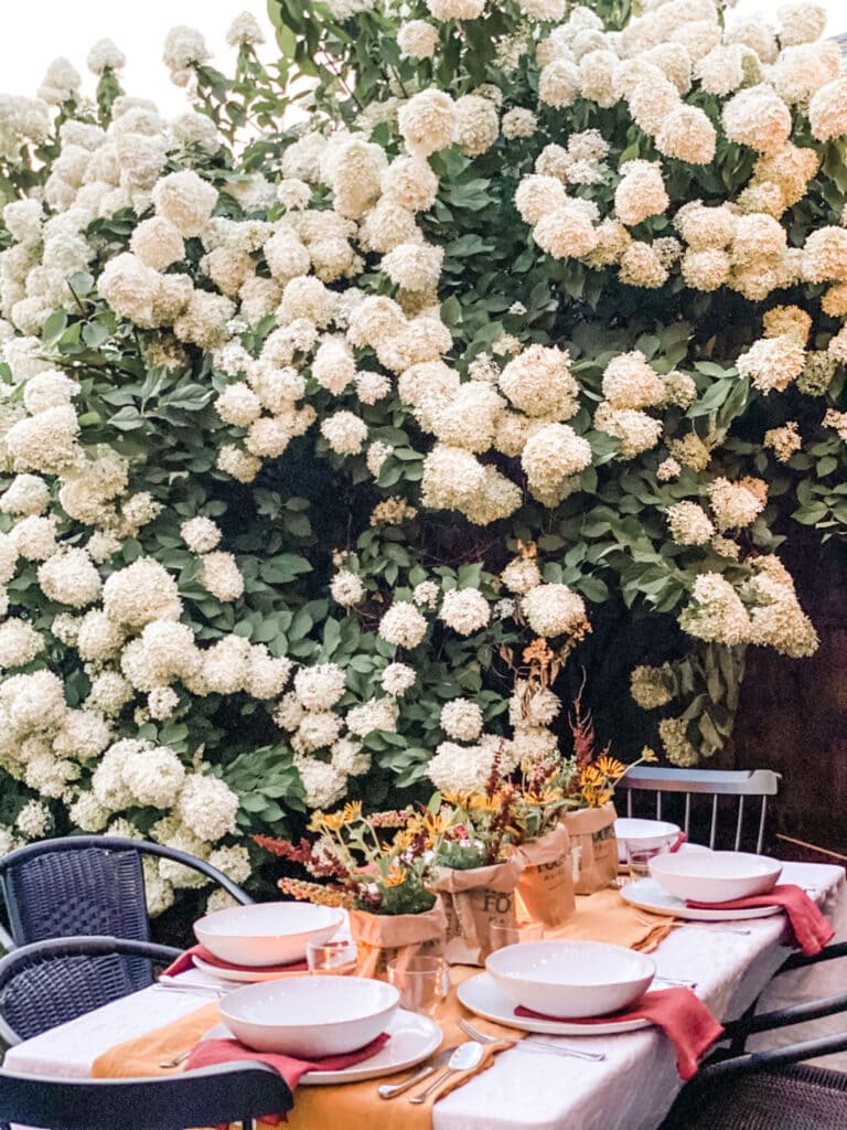 An outdoor table with black chairs is decorated with colorful linens and DIY flower bouquets made of grocery store flowers mixed with foraged flowers and herbs. In the background, a beautiful hydrangea tree.