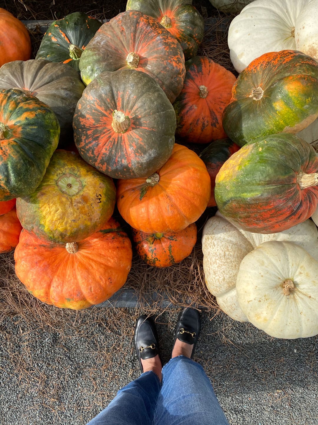 Lifestyle Blogger Annie Diamond takes a stroll through Terrain in Westport during the Autumn Bounty. 