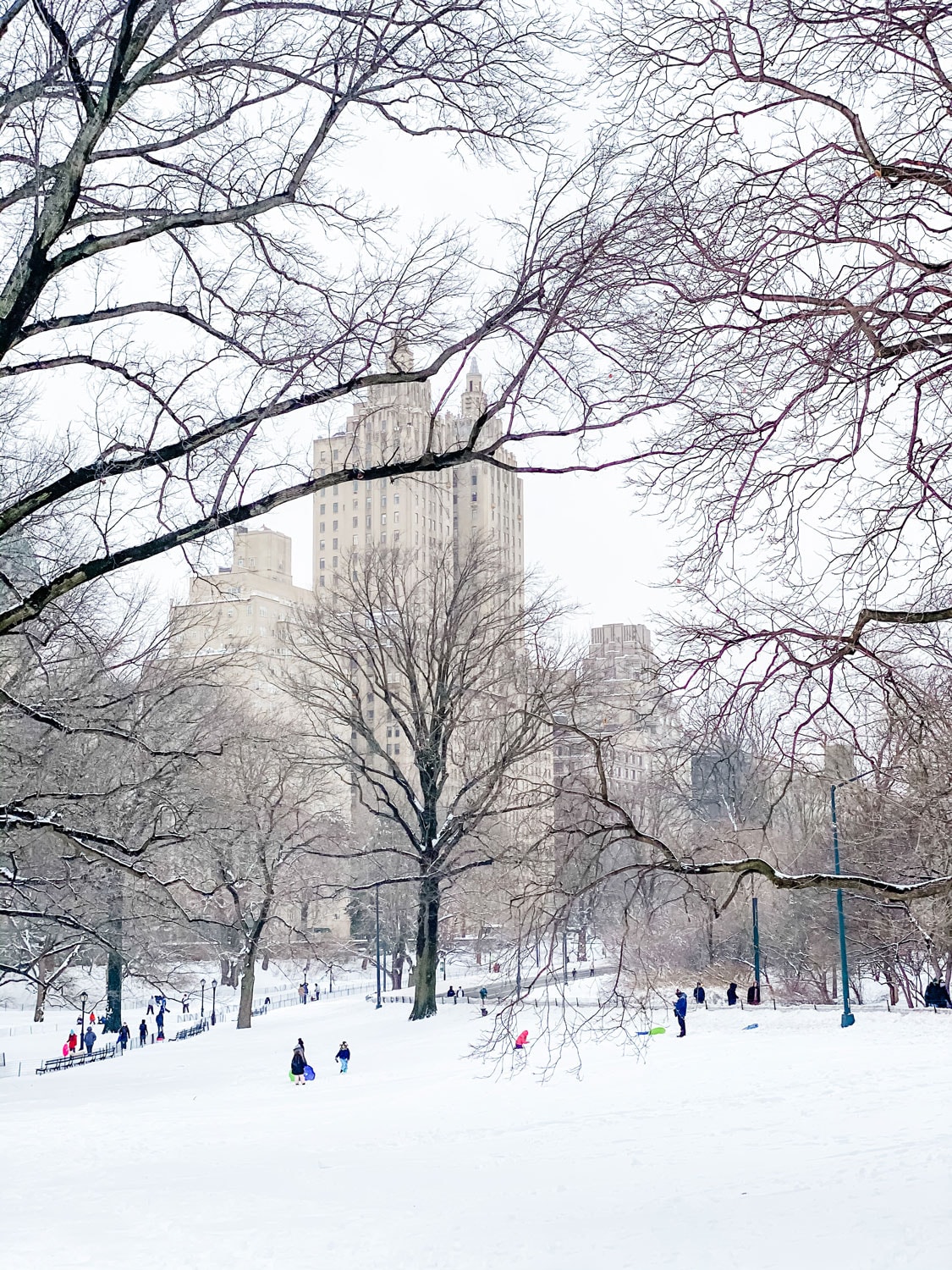 central park in snow nyc