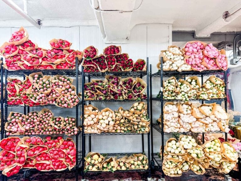 Tips on Visiting the New York City Flower Market