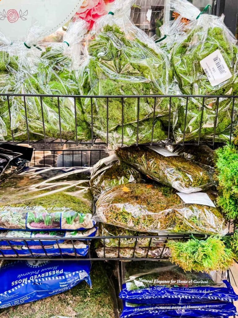 Bags of preserved moss can also be purchased at Jamili Floral and Garden at the NY Flower Market.