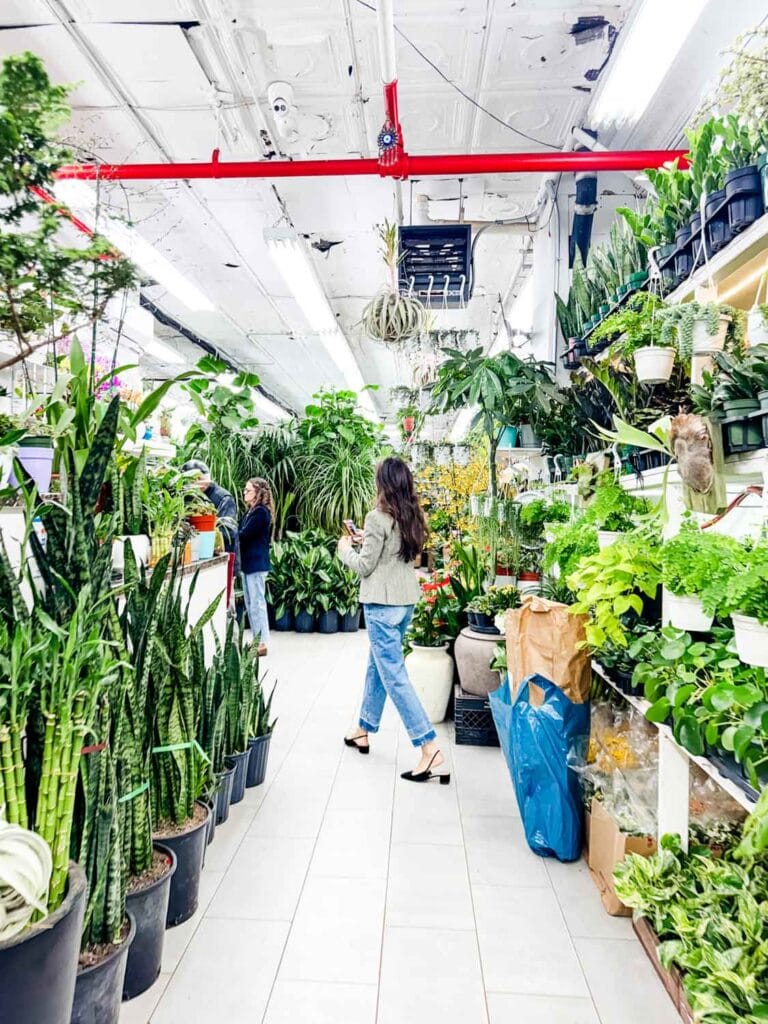 A woman is walking down the isle of a plant store at the NYC Flower Market.