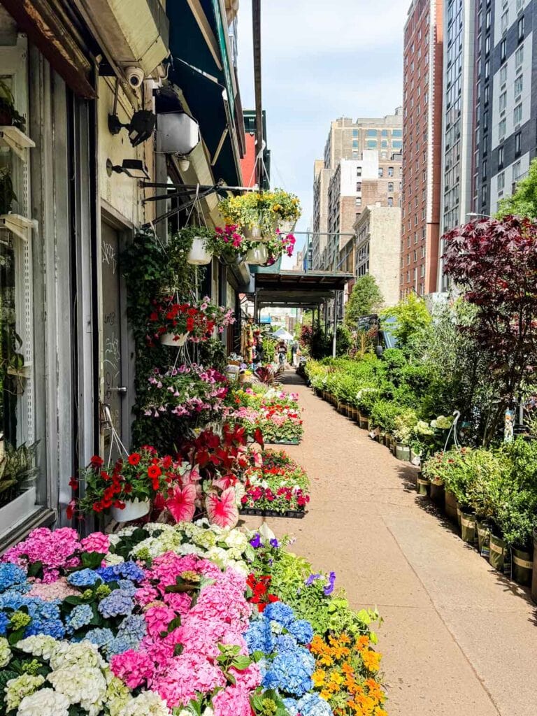 Flowers and plants line the sidewalk creating a narrow path at the NYC Flower Market.