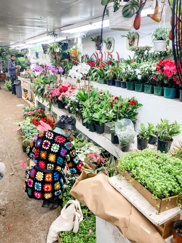 woman wearing a granny square sweater in bright colors selecting plants 