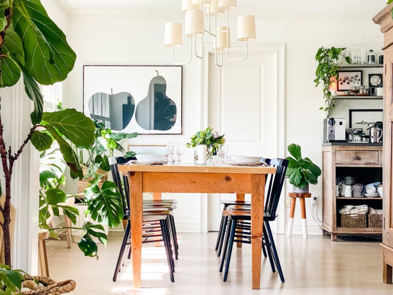 farm table with black chairs, plants, Enzo Mari apple pear poster