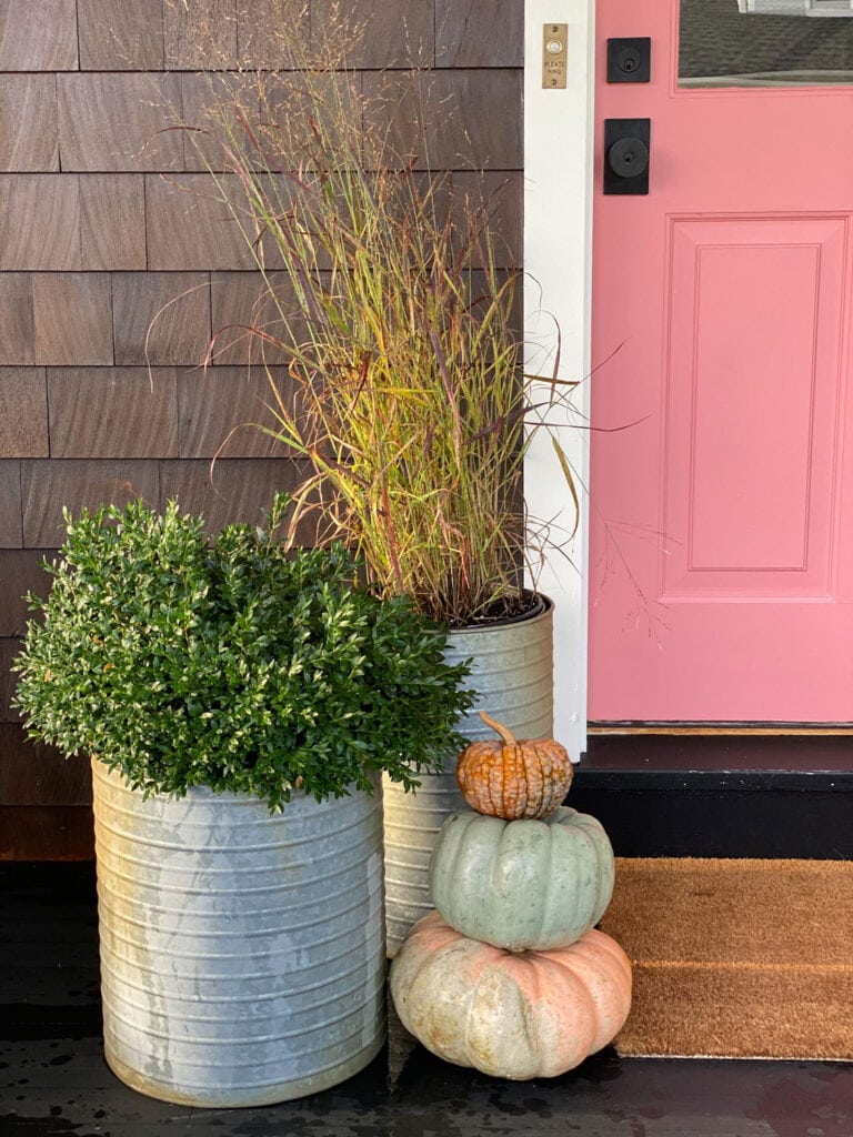 Fall pumpkins tacked next to two galvanized planters with boxwoods and seagrasses in front of a pink door