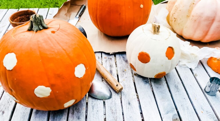How cute are these pumpkins using cookie cutters?!