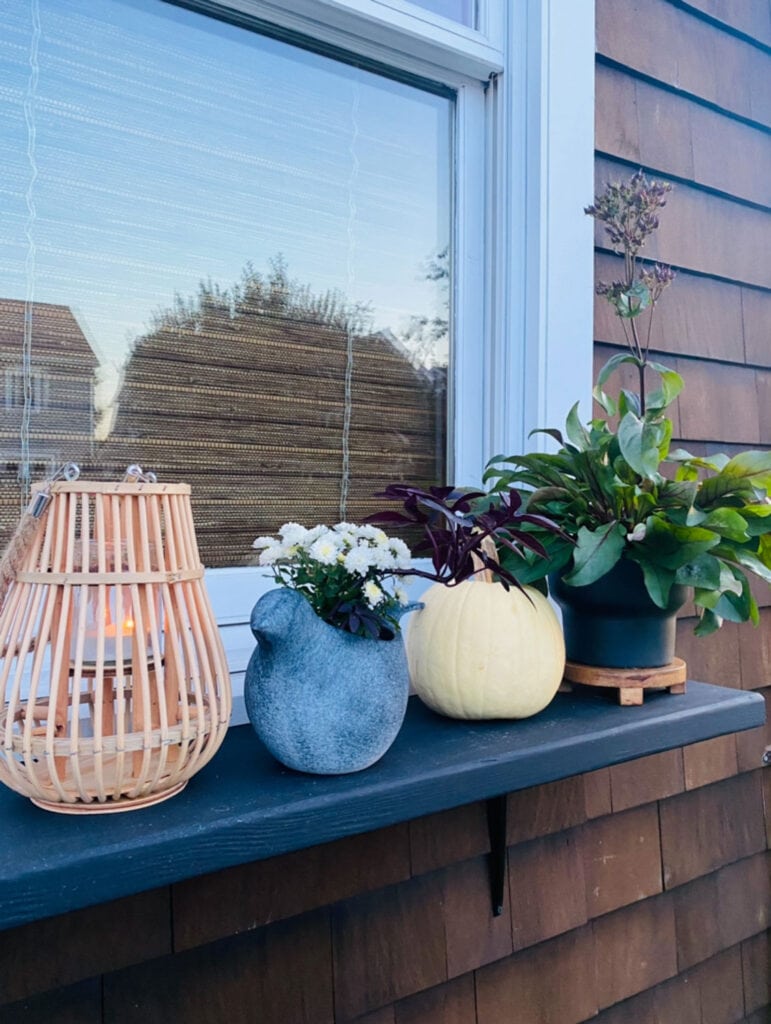 window shelf on exterior of house with plants