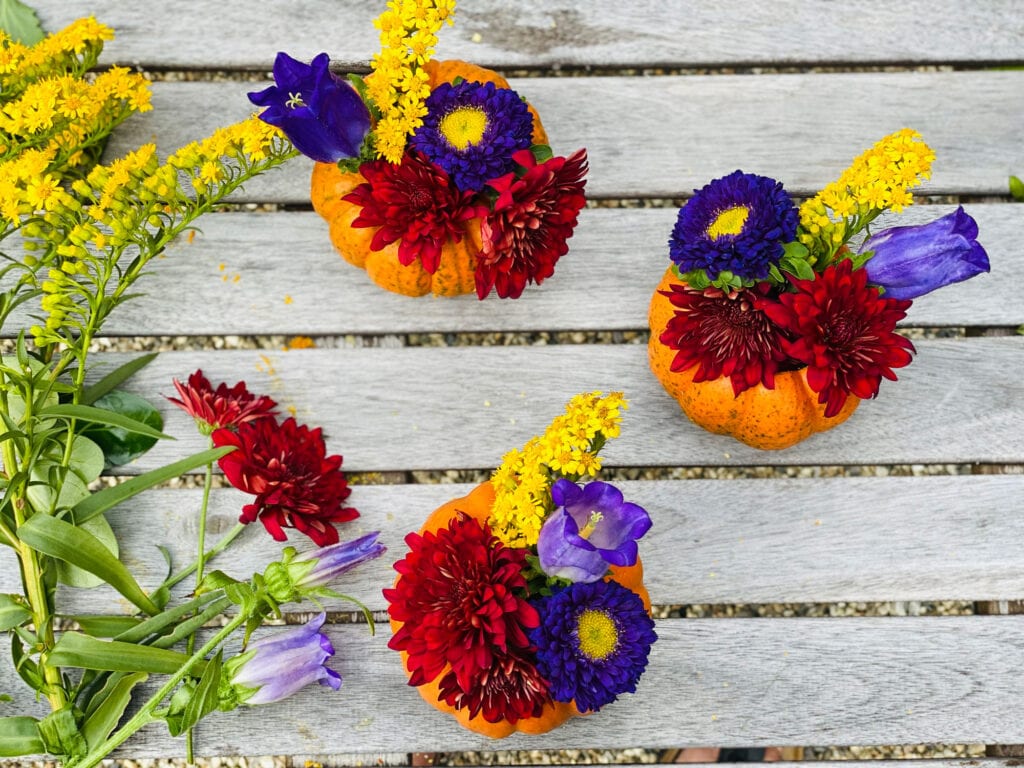 Three mini pumpkins sitting on a wood potting bench, filled with purple, red, and yellow flowers. Fresh cut flowers sitting next to pumpkins.