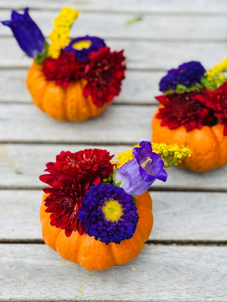 How to Make Mini Pumpkin Planters with real pumpkins and a few fall flowers