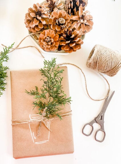 Draw a jar on kraft paper to embellish a gift with a small branch