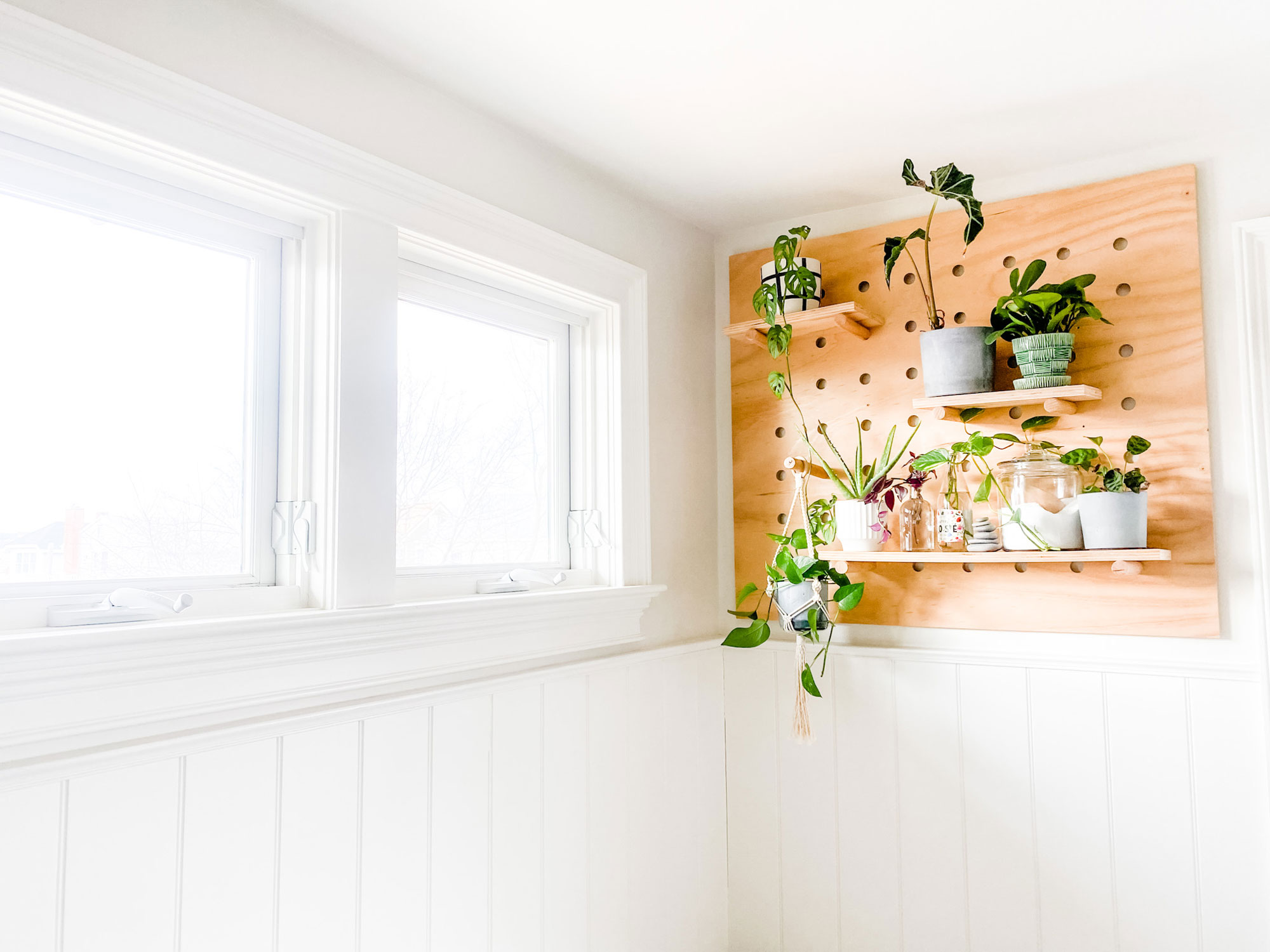 How to hang a pegboard plant wall