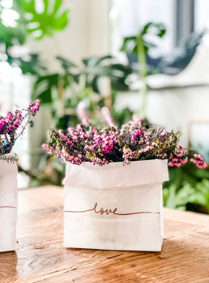 A simple DIY plant holder for valentine’s day