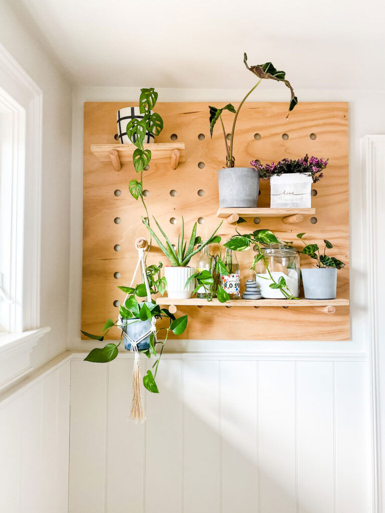 Make this plywood pegboard wall to hold plants and bottles